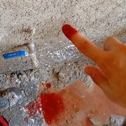 مشتهي كس امصه