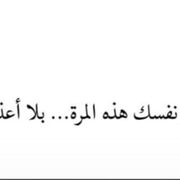 زوبر التنين