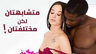 سكس زنوج مترجم