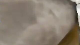 انطونيو ينيك جارتة