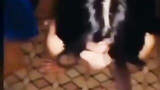 سكس هيمنة عراقية